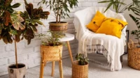 Le home staging