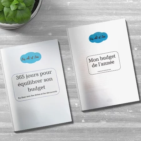 Lot de 2 livrets « 365 jours pour équilibrer son budget » + « Mon budget de l’année »